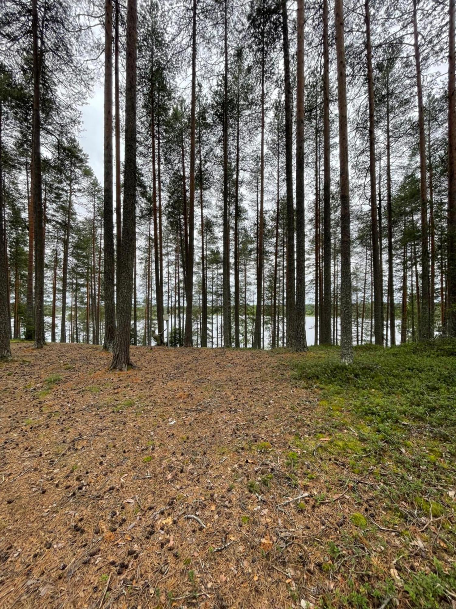 Laahtanen Camping Ristijärvi Exterior foto