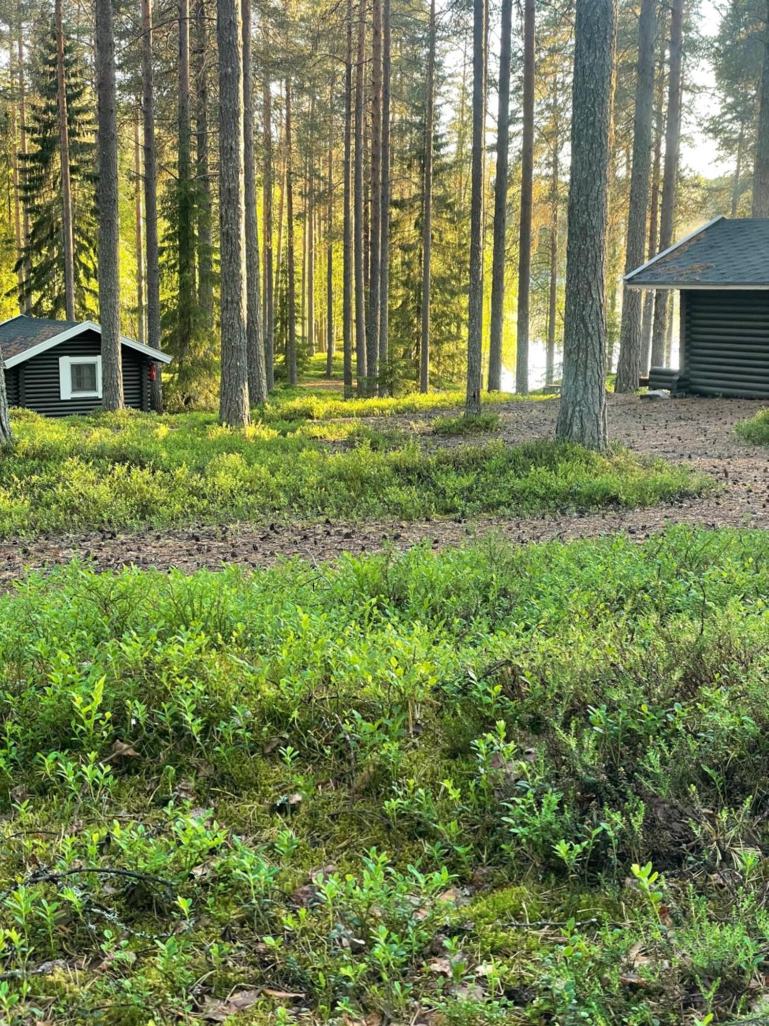 Laahtanen Camping Ristijärvi Exterior foto