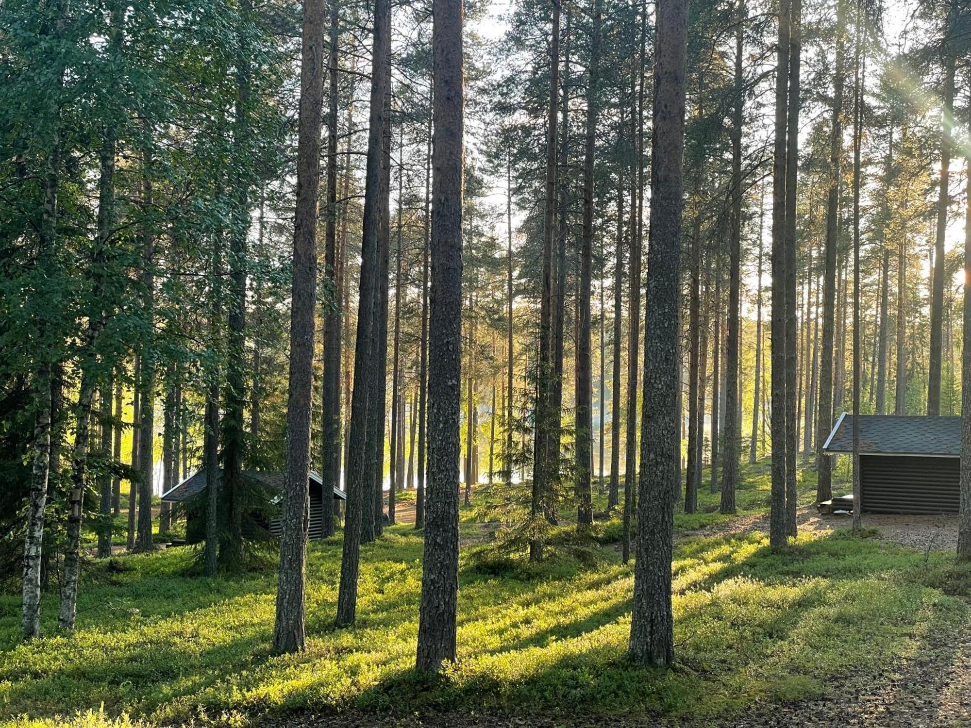 Laahtanen Camping Ristijärvi Exterior foto